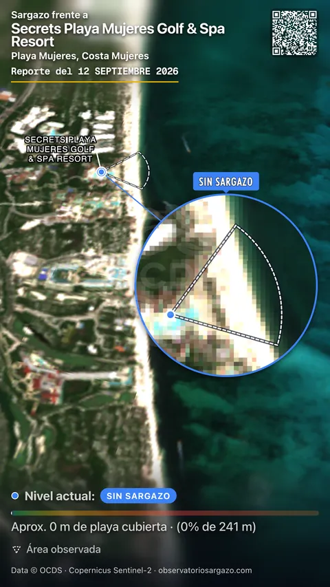 Estado del sargazo en Secrets Playa Mujeres Golf & Spa Resort, Isla Mujeres (playa Playa Mujeres) — sin sargazo, 12 de septiembre de 2026