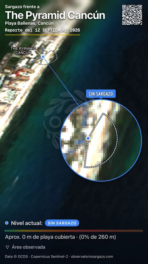 Estado del sargazo en The Pyramid Cancún, Cancún (playa Playa Ballenas) — sin sargazo, 12 de septiembre de 2026